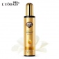 洛黛诗护发喷雾头发护理营养水修复液美发用品批发厂家**220ml
